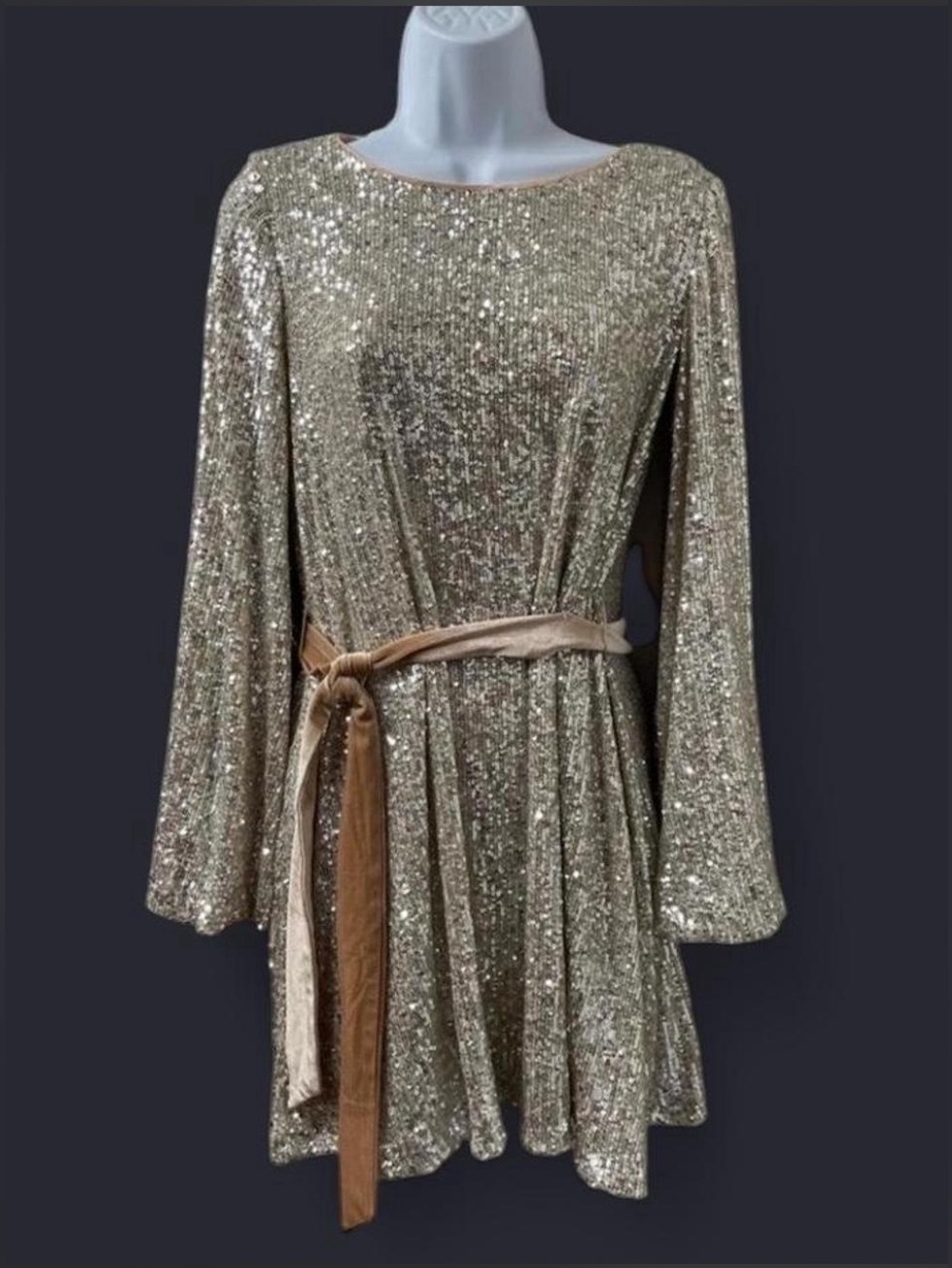 Rewind Silver Sequin Dress with Belt